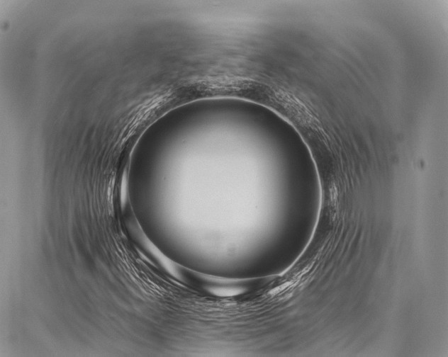 X0000087361300200704201137
