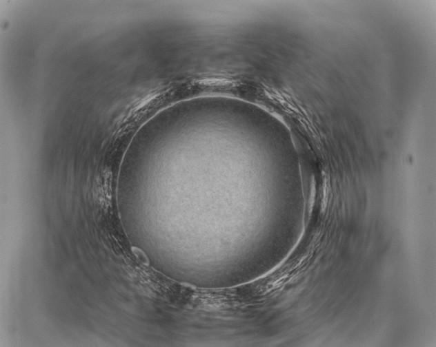 X0000087361301200704201137