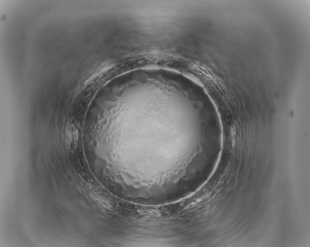 X0000087361302200704201137