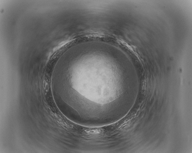 X0000087361303200704201137