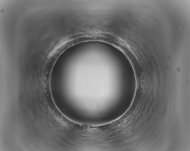 X0000087361304200704201137