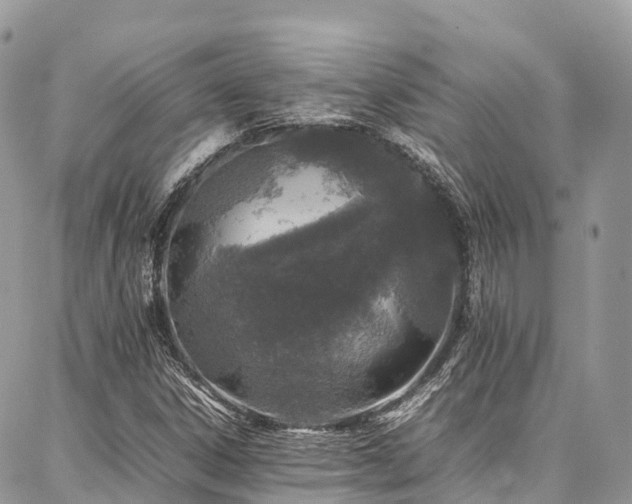 X0000087361306200704201137