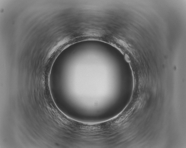 X0000087361307200704201137