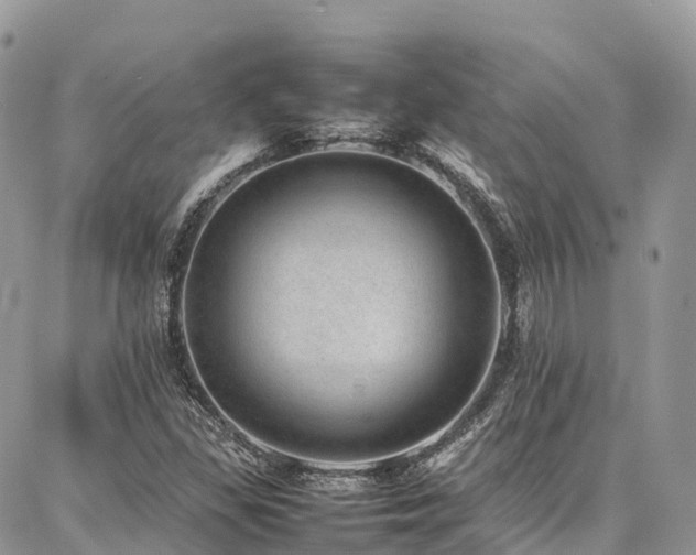 X0000087361309200704201137