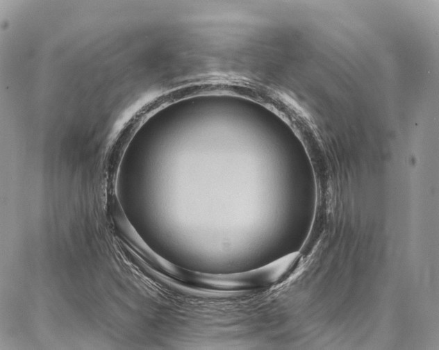 X0000087361310200704201137
