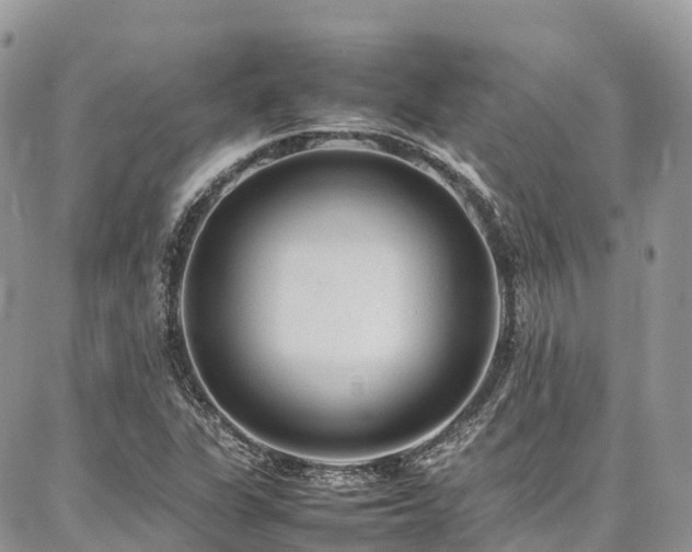 X0000087361311200704201137