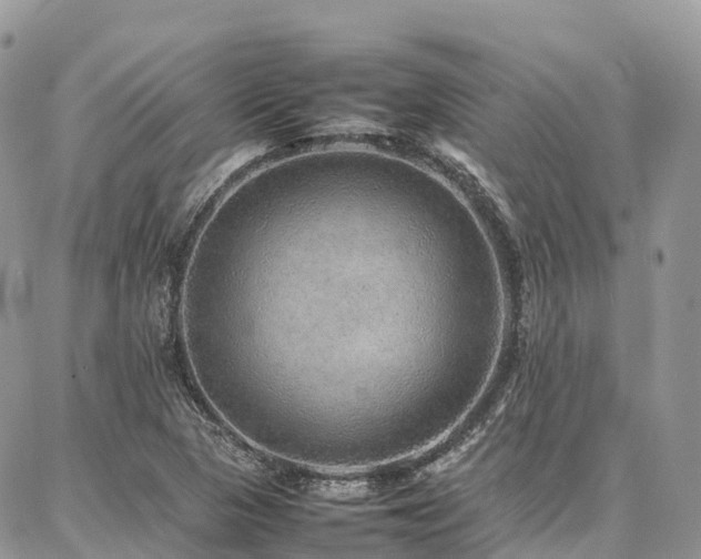 X0000087361313200704201137