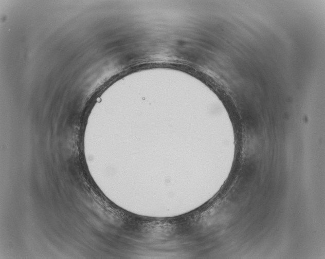 X0000087361314200704201137