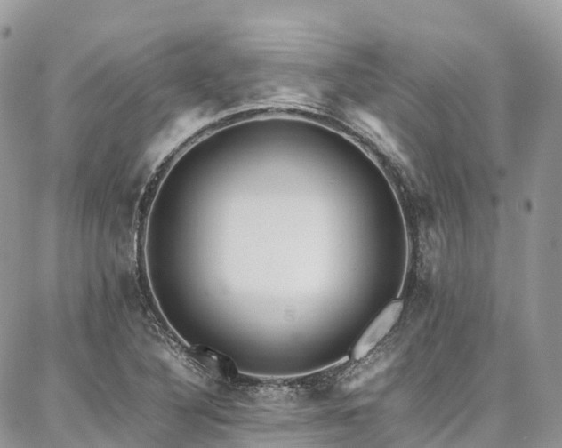 X0000087361316200704201137