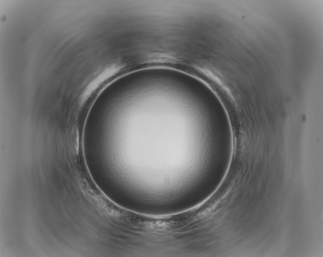 X0000087361317200704201137