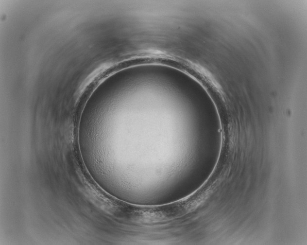 X0000087361318200704201137