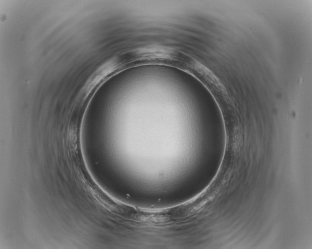 X0000087361321200704201137