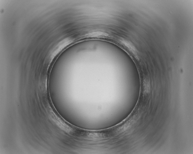 X0000087361322200704201137