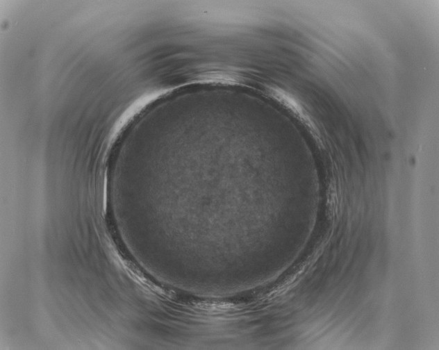 X0000087361323200704201137