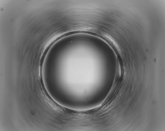 X0000087361324200704201137