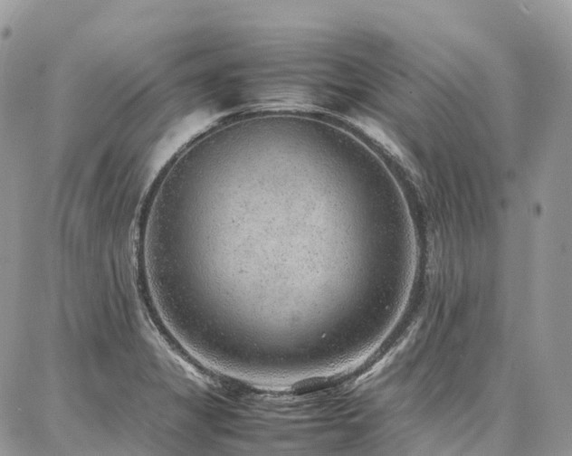 X0000087361325200704201137
