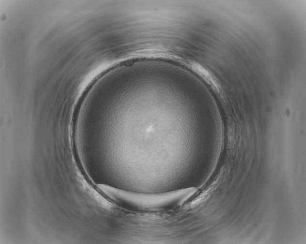 X0000087361334200704201137