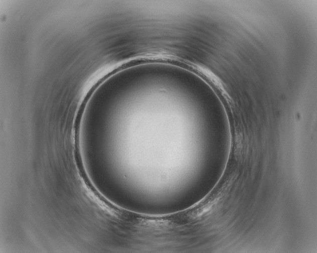 X0000087361335200704201137