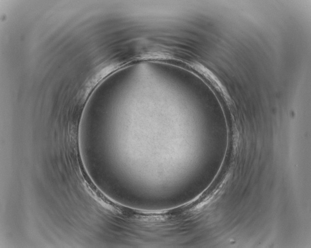 X0000087361337200704201137