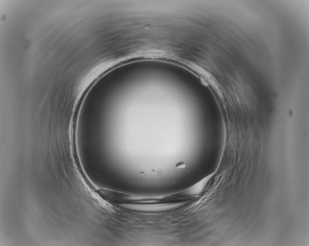 X0000087361343200704201138