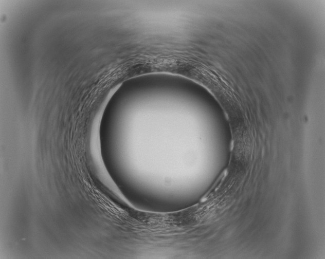 X0000087361345200704201137