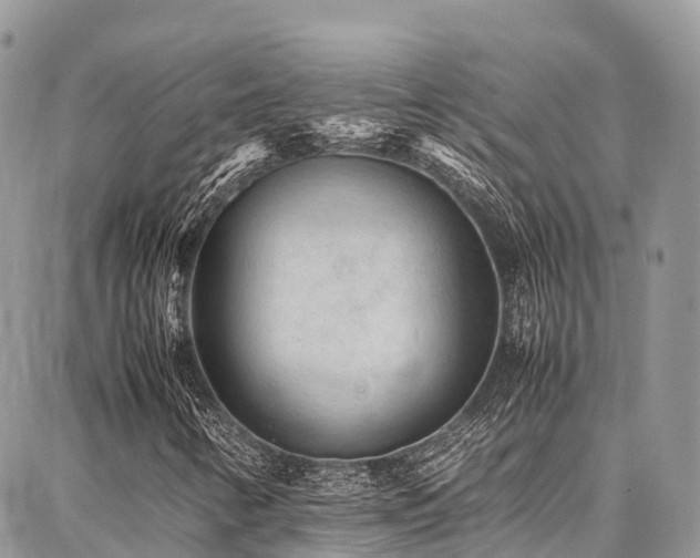 X0000087361346200704201137