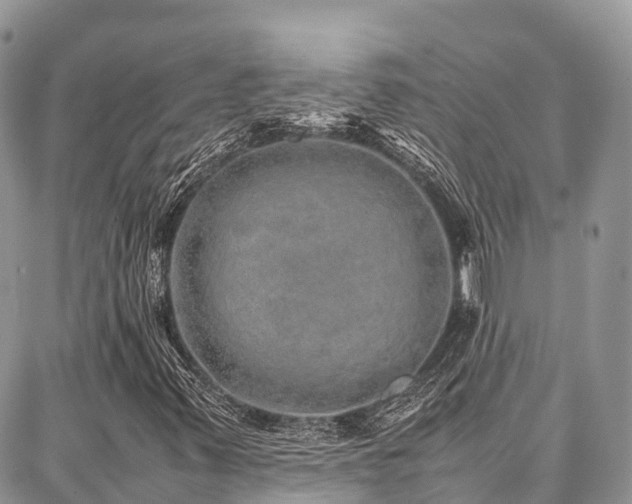 X0000087361347200704201137