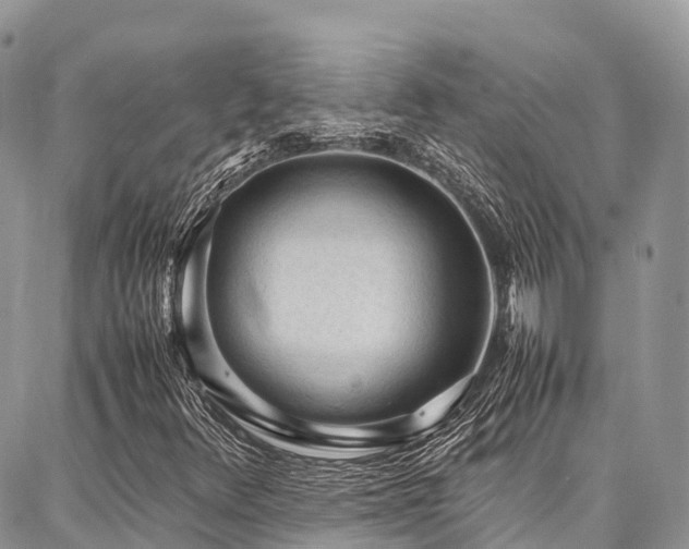 X0000087361348200704201137