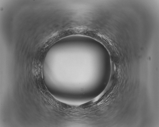 X0000087361349200704201137