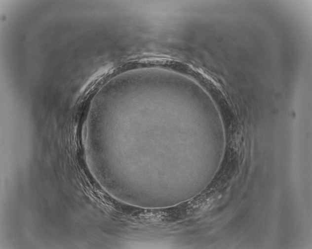 X0000087361351200704201137
