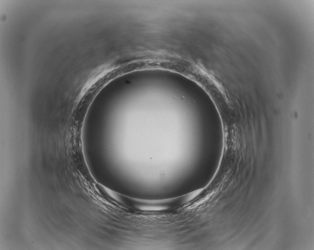 X0000087361352200704201137