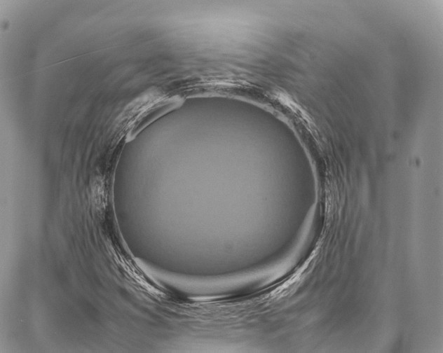 X0000087361353200704201137