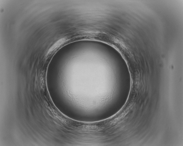X0000087361354200704201137
