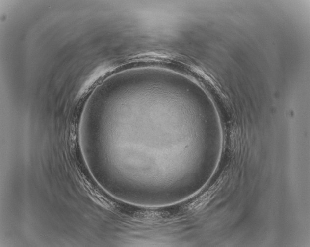 X0000087361355200704201137