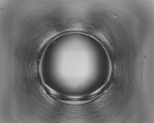 X0000087361356200704201137