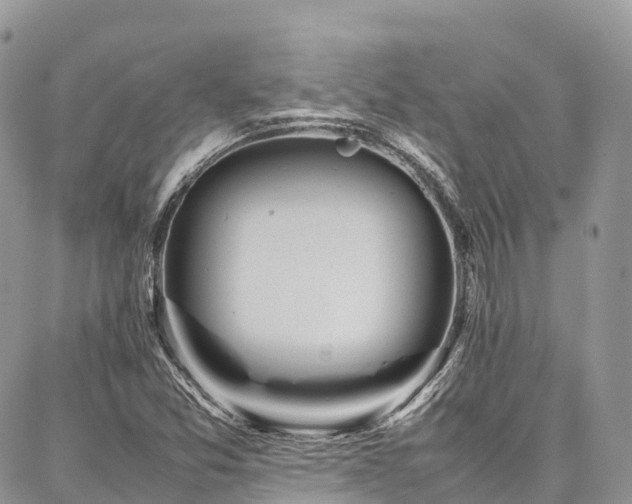 X0000087361357200704201137