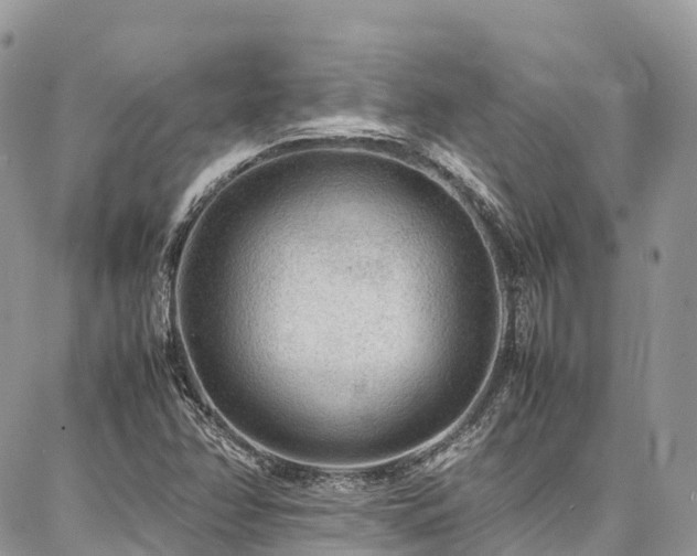 X0000087361358200704201137