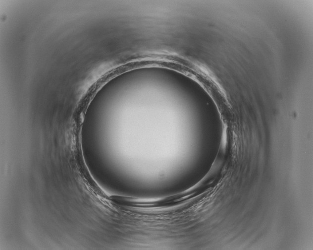 X0000087361360200704201137