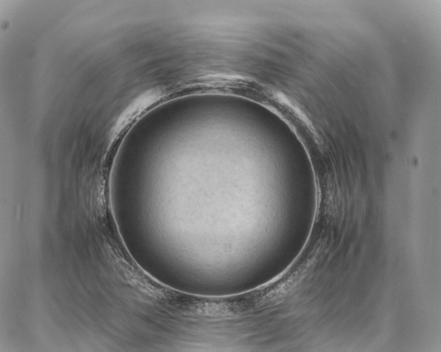 X0000087361362200704201137