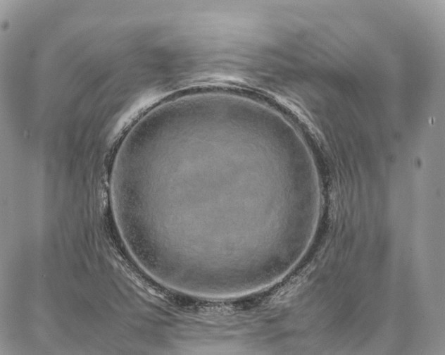 X0000087361363200704201137