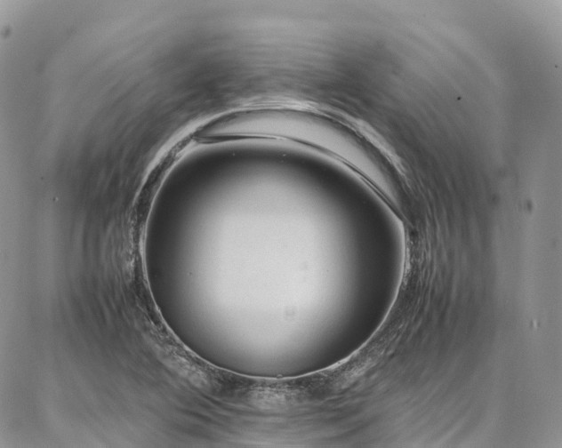 X0000087361364200704201136