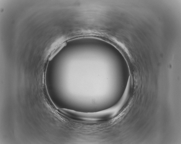 X0000087361365200704201136