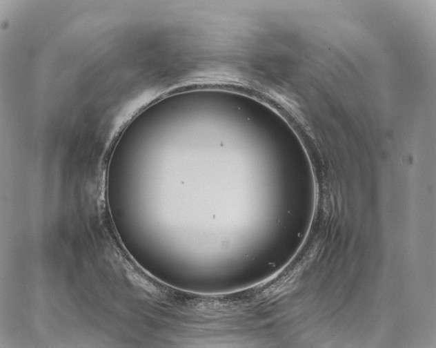 X0000087361366200704201136