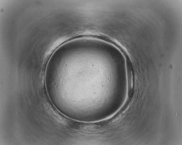 X0000087361367200704201136