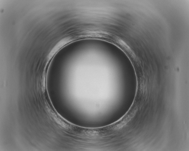 X0000087361370200704201136