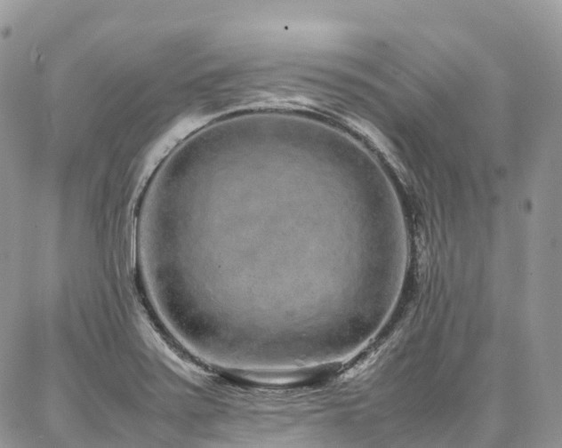 X0000087361371200704201136