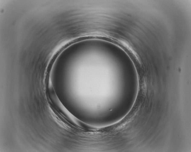 X0000087361372200704201136