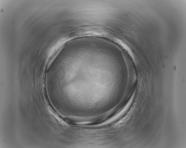 X0000087361373200704201136
