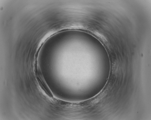 X0000087361374200704201136