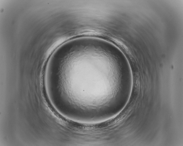 X0000087361375200704201136